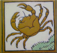 aCrab.JPG (63758 bytes)