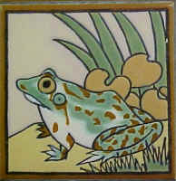 aFrog.JPG (61607 bytes)